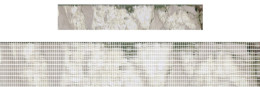 focus1 image